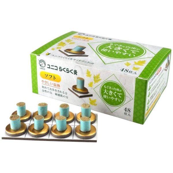 48壮入
