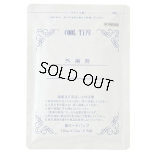 画像1: 新リードパップT (冷感タイプ）10cm×14cm　 6枚/袋 (1)