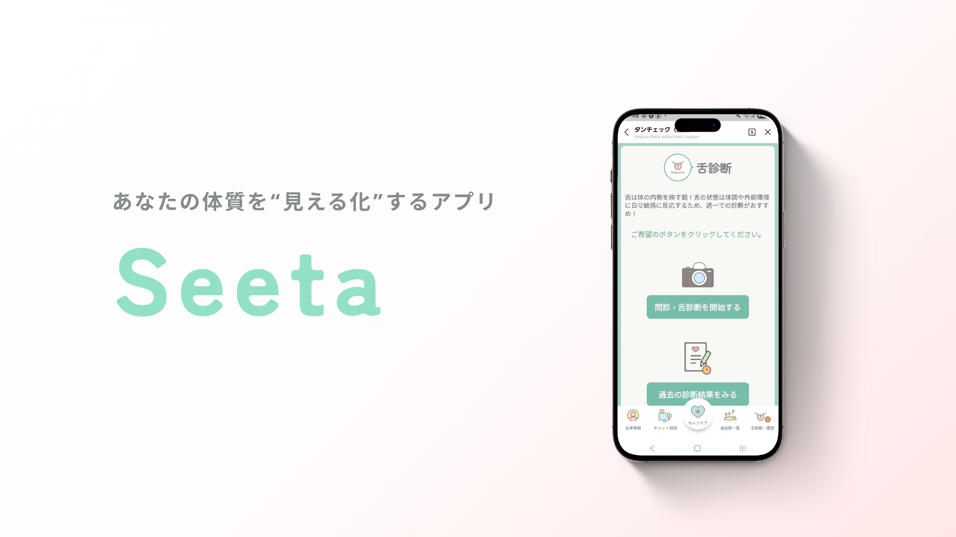 Seetaイメージ